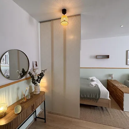 Le Noma élégant Cocon Au Coeur De Cannes