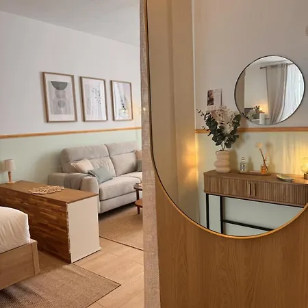 Le Noma élégant Cocon Au Coeur De Appartement Cannes
